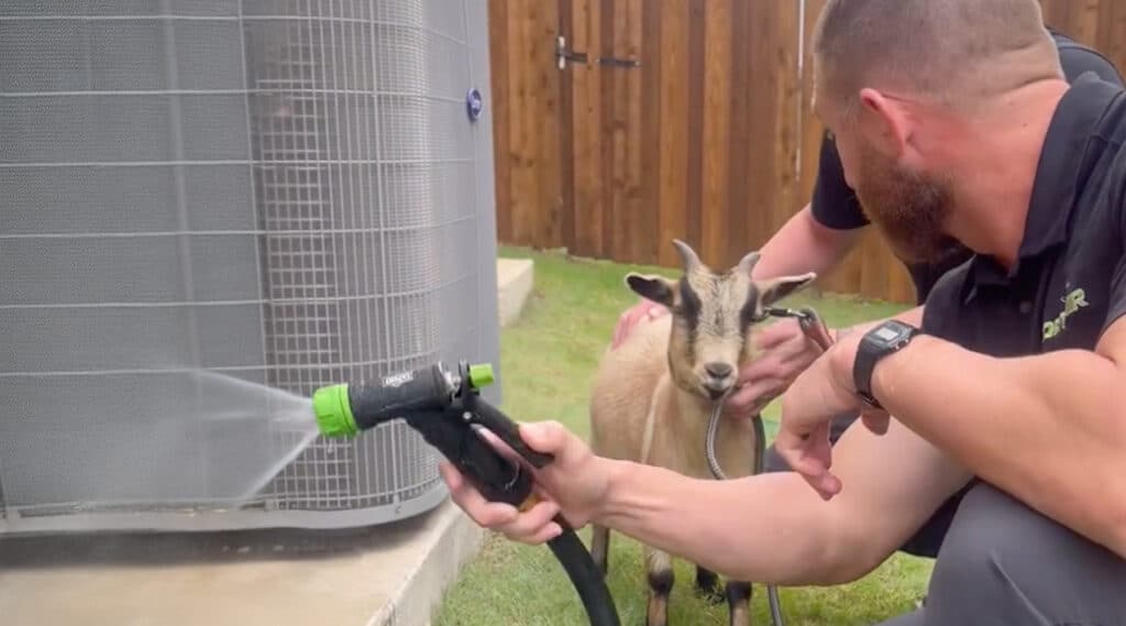 Gus the Goat with goat air hvac techs