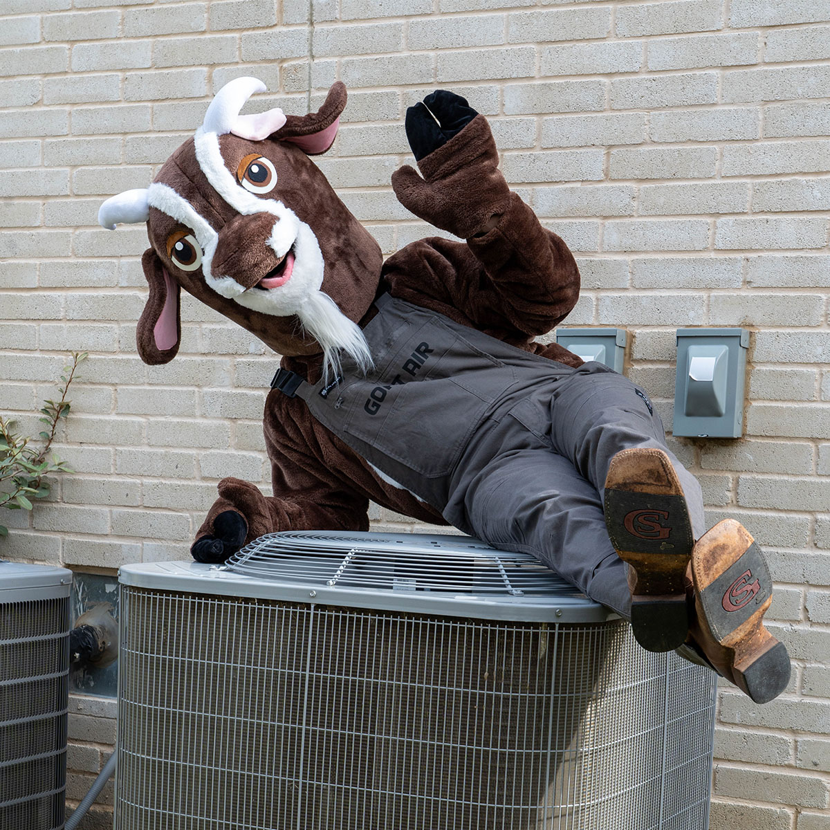 Gus loves a good AC unit — almost as much as he loves keeping your home cool. Call Goat Air and let the G.O.A.T. take care of yours!